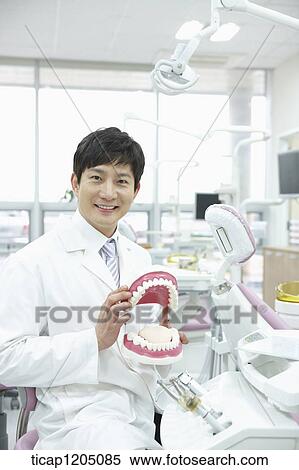 A dentist holding a false teeth in his hand View Large Photo Image Stock Photography - A dentist holding a false teeth in his hand . Fotosearch