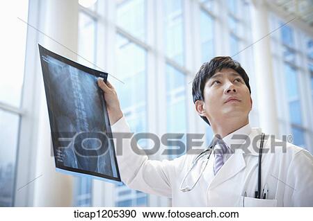 A doctor in a white dressing gown with stethoscope around his neck holding a x-ray picture View Large Photo Image Stock Image - A doctor in a white dressing gown with stethoscope around his neck holding a x-ray picture. Fotosearch