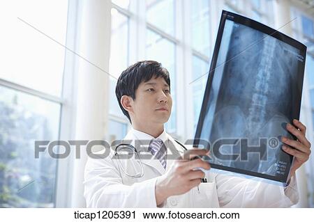 A doctor in a white dressing gown with stethoscope around his neck looking at a x-ray picture View Large Photo Image Stock Image - A doctor in a white dressing gown with stethoscope around his neck looking at a x-ray picture. Fotosearch