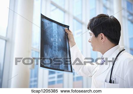 Stock Photography - A doctor in a white dressing gown with stethoscope around his neck holding up a x-ray picture. Fotosearch