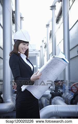 A female architect smiling at a blue print View Large Photo Image Stock Photograph - A female architect smiling at a blue print. Fotosearch