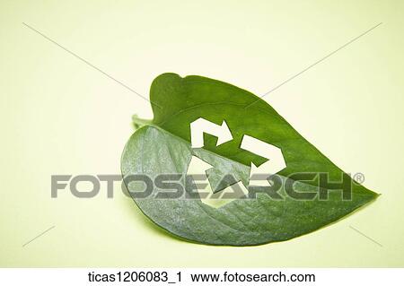 A green leaf with a white recycling logo View Large Photo Image Stock Image - A green leaf with a white recycling logo. Fotosearch