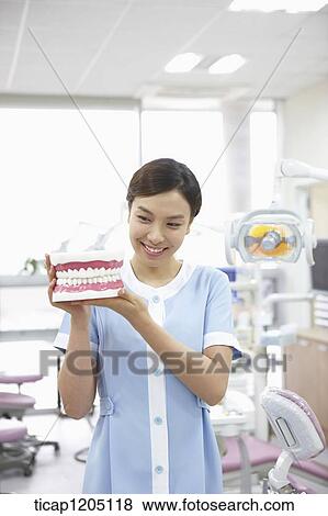 A nurse holding a false teeth View Large Photo Image Stock Photo - A nurse holding a false teeth. Fotosearch