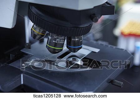 A picture of a microscope View Large Photo Image Stock Photo - A picture of a microscope. Fotosearch