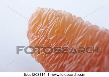 A Piece of a grapefruits View Large Photo Image Stock Image - A Piece of a grapefruits . Fotosearch