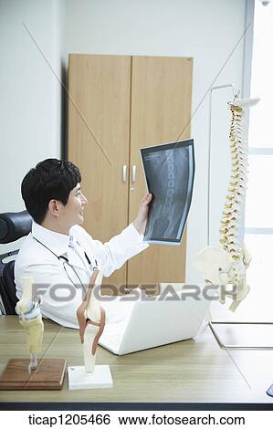 A surgeon sitting on his chair with a x-ray result in his hand and spine model on his desk View Large Photo Image Stock Photograph - A surgeon sitting on his chair with a x-ray result in his hand and spine model on his desk. Fotosearch
