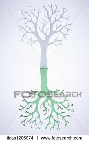 Stock Image - A tree outline with a green shadow. Fotosearch