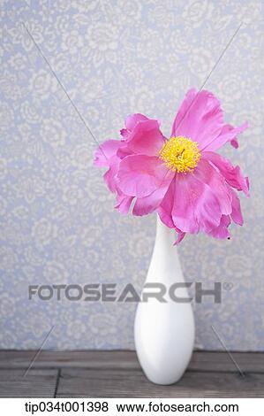 flowers in the vase View Large Photo Image Stock Photo - flowers in the vase. Fotosearch