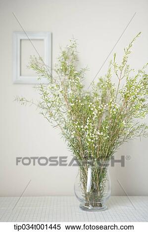 Stock Photography - flowers in the vase. Fotosearch