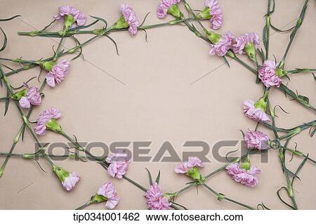 flowers on the wall View Large Photo Image Stock Image - flowers on the wall. Fotosearch