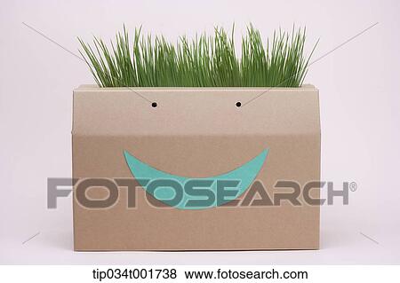 grass in the paper box looking happy View Large Photo Image Stock Photo - grass in the paper box looking happy. Fotosearch