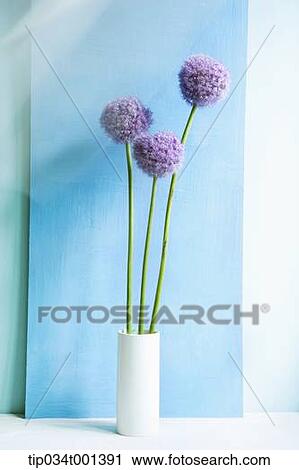 Stock Image - lavenders in the vase. Fotosearch