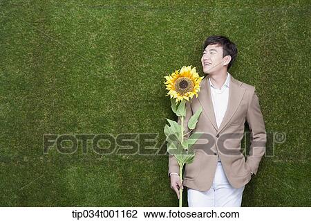 Stock Image - man holding a sunflower . Fotosearch