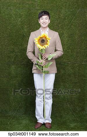 Stock Photo - man holding a sunflower . Fotosearch