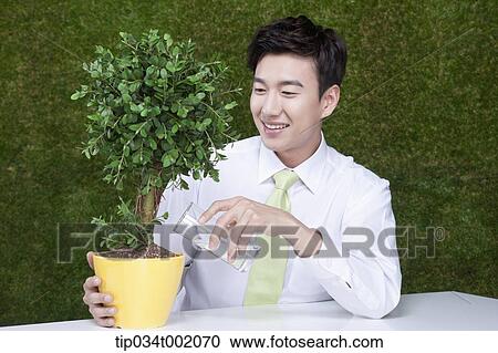 man watering the tree in the pot View Large Photo Image Stock Image - man watering the tree in the pot. Fotosearch