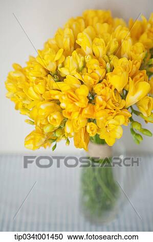 narcissus in the vase View Large Photo Image Stock Image - narcissus in the vase. Fotosearch
