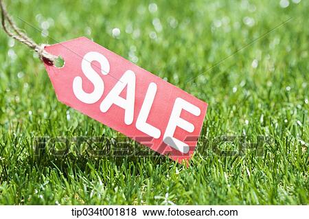 sale tag on the grass View Large Photo Image Stock Photo - sale tag on the grass. Fotosearch