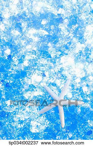 Stock Photo - starfish in the blue background. Fotosearch
