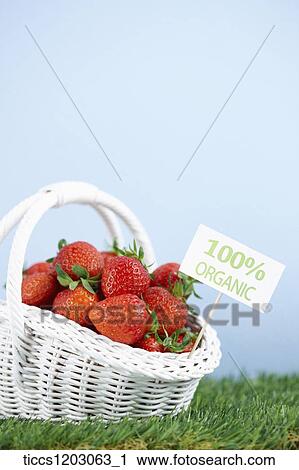 Strawberries in a white basket with 100 percent organic sign put in a basket View Large Photo Image Stock Image - Strawberries in a white basket with 100 percent organic sign put in a basket. Fotosearch