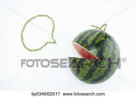 watermelon and speech bubble View Large Photo Image Stock Photo - watermelon and speech bubble. Fotosearch