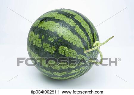 watermelon in white background View Large Photo Image Stock Image - watermelon in white background. Fotosearch