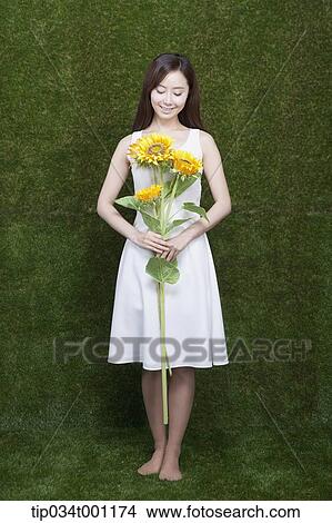 woman holding sunflower in her bare feet View Large Photo Image Picture - woman holding sunflower in her bare feet. Fotosearch