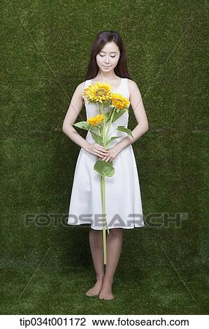 woman holding sunflower in her bare feet View Large Photo Image Stock Image - woman holding sunflower in her bare feet. Fotosearch