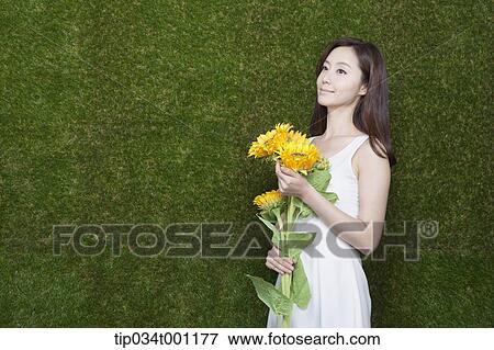 Stock Photo - woman holding sunflower in her bare feet. Fotosearch