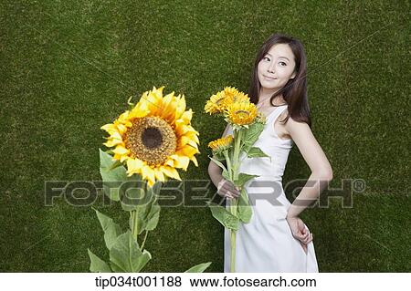 Stock Photo - woman holding sunflower in her bare feet. Fotosearch