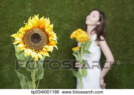 Stock Photograph - woman holding sunflower in her bare feet. Fotosearch