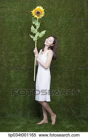 Stock Photography - woman holding sunflower in her bare feet. Fotosearch