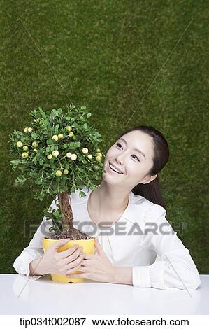 woman holding tree pot in the table View Large Photo Image Stock Photo - woman holding tree pot in the table. Fotosearch