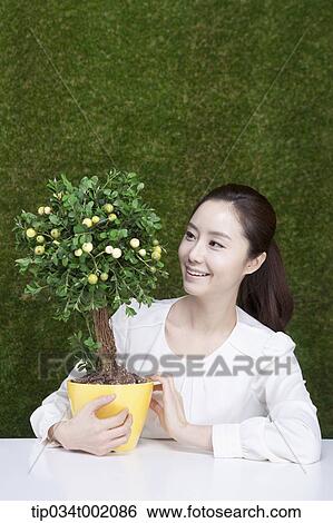 woman holding tree pot in the table View Large Photo Image Stock Photograph - woman holding tree pot in the table. Fotosearch