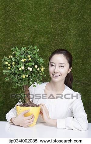 woman holding tree pot in the table View Large Photo Image Stock Photography - woman holding tree pot in the table. Fotosearch