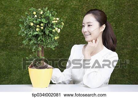 woman looking at tree in the pot View Large Photo Image Stock Image - woman looking at tree in the pot. Fotosearch