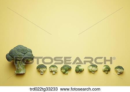 A big broccoli and small broccolis View Large Photo Image Stock Image - A big broccoli and small broccolis. Fotosearch
