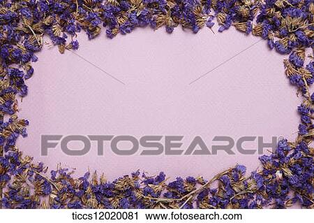 Stock Image - A pink note with dried purple flower frame. Fotosearch