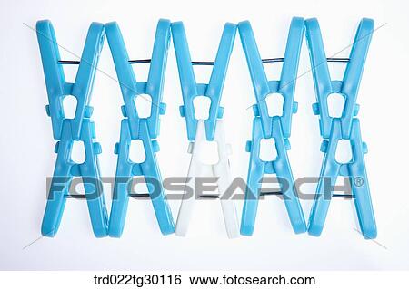 A white clothespin with blue clothespins around View Large Photo Image Stock Photograph - A white clothespin with blue clothespins around. Fotosearch