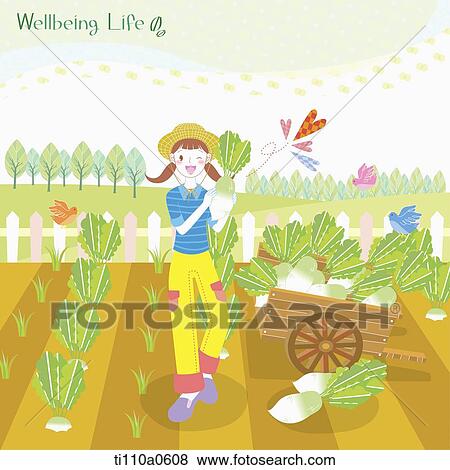 A woman harvesting the vegetable in the farm  View Large Photo Image Stock Photo - A woman harvesting the vegetable in the farm . Fotosearch