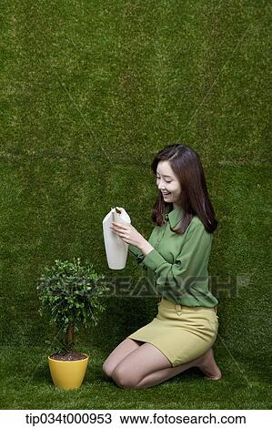A woman watering the tree View Large Photo Image Stock Image - A woman watering the tree. Fotosearch