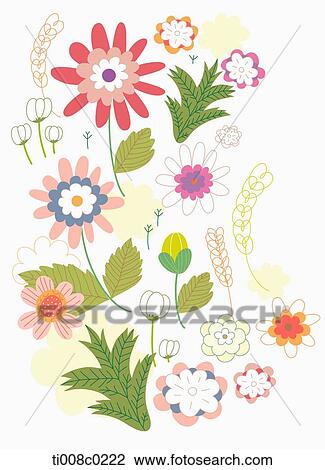 Colorful flowers with white background View Large Photo Image Stock Image - Colorful flowers with white background. Fotosearch