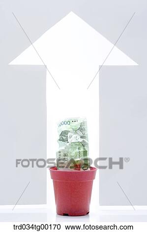 crumpled money bills in flower pot and arrow sign View Large Photo Image Stock Image - crumpled money bills in flower pot and arrow sign. Fotosearch
