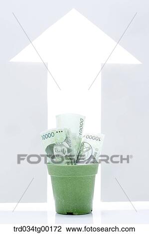 crumpled money bills in flower pot and arrow sign View Large Photo Image Stock Image - crumpled money bills in flower pot and arrow sign. Fotosearch