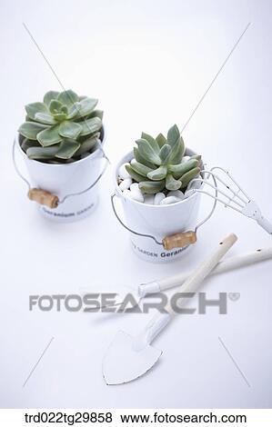 flower pots with gardening tools View Large Photo Image Stock Photo - flower pots with gardening tools. Fotosearch