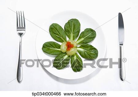 Green fruit and vegetable in the flower shape View Large Photo Image Stock Photograph - Green fruit and vegetable in the flower shape. Fotosearch