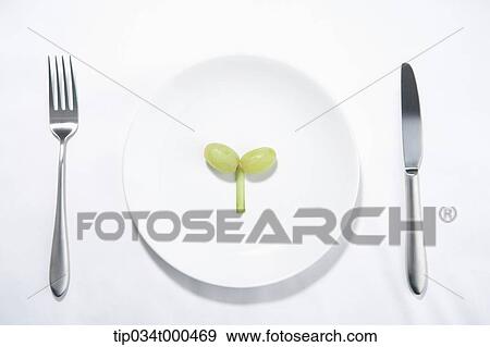 Green grape and vegetable in the sprout shape View Large Photo Image Stock Photo - Green grape and vegetable in the sprout shape. Fotosearch
