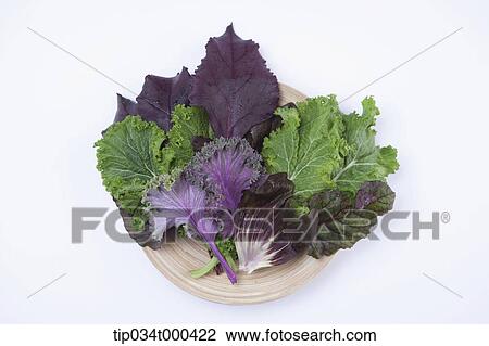 Green vegetable on the dish View Large Photo Image Stock Image - Green vegetable on the dish . Fotosearch