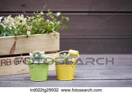 Stock Image - herbs in flower pot. Fotosearch