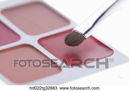 Lip palette and cosmetic brush View Large Photo Image Stock Image - Lip palette and cosmetic brush. Fotosearch