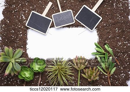 Stock Photo - Name board and green plant frame. Fotosearch